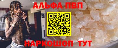индика Пенза