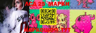 индика Пенза
