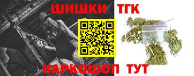 индика Пенза