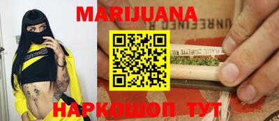 индика Пенза