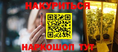 индика Пенза