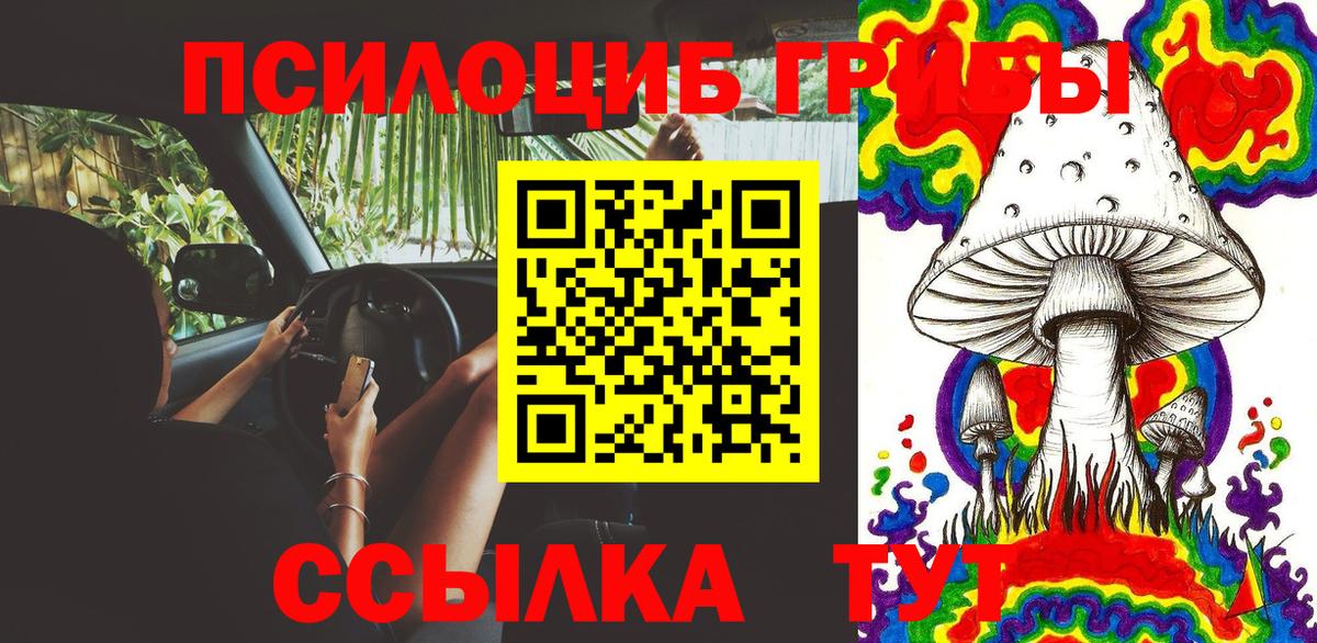 Псилоцибиновые грибы MAGIC MUSHROOMS  Вход с VPN  Сердобск 